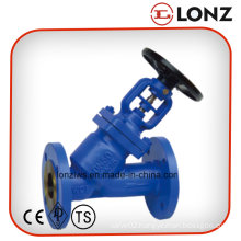 WCB PN16 DIN Y Type Bellow Seal Globe Valve